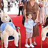 KimberleyWalsh_co_uk-018.jpg