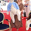 KimberleyWalsh_co_uk-066.jpg